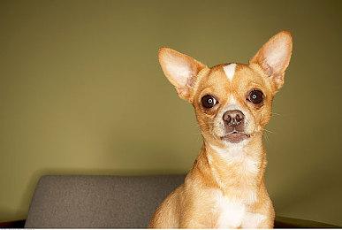 《战神：诸神黄昏》总监介绍本作剧情灵感来源